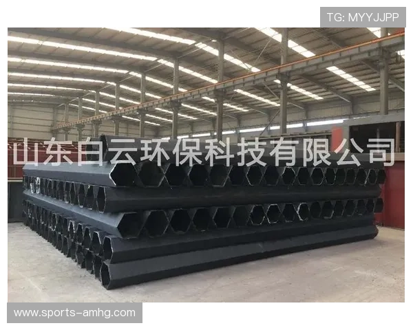 皇冠最新手机登录网址官方入口，安全登录的注意事项与技巧